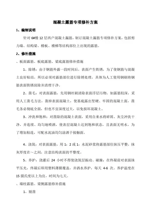 混凝土结构露筋专项修补方案
