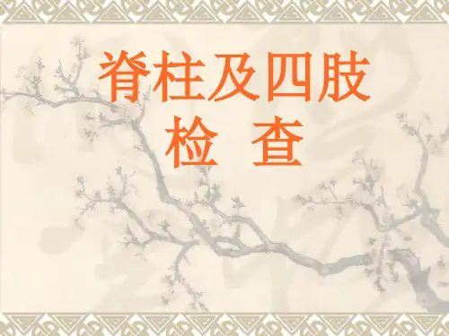 造成脊柱后凸