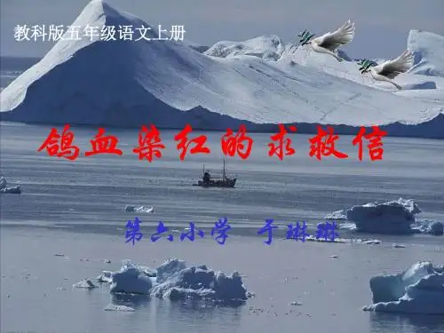 10鸽血染血的求救