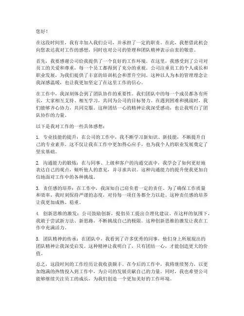 发给老板的一工作感想