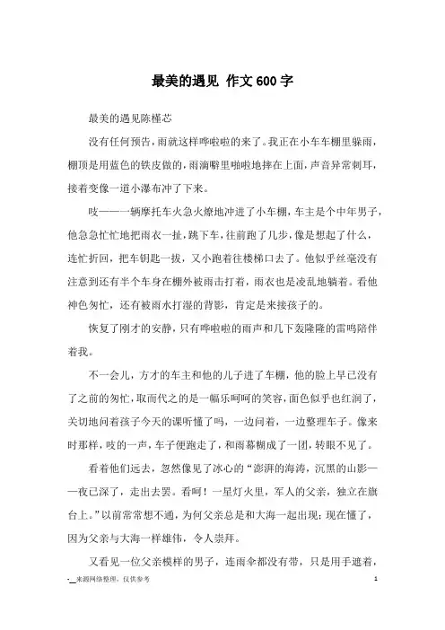 最美的遇见 作文600字_优秀作文