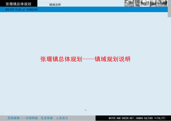 张堰镇总体规划——镇域规划说明