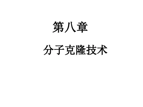 第八章 分子克隆技术