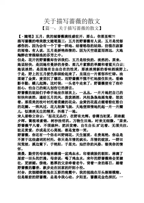 关于描写蔷薇的散文