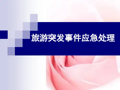 案例分析(旅游突发事件的应急处理)