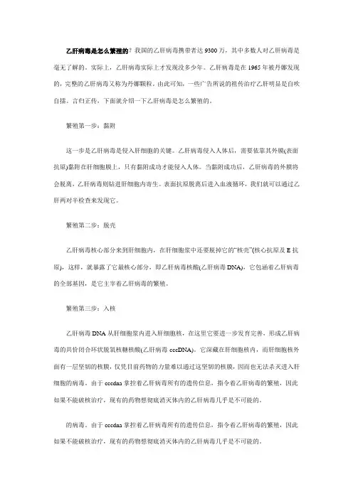 乙肝病毒是怎么繁殖的