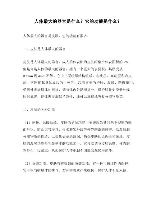人体最大的器官是什么？它的功能是什么？
