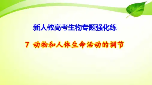 新人教高考生物专题强化练7 动物和人体生命活动的调节