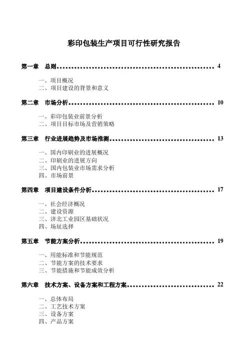 彩印包装生产项目可行性研究报告