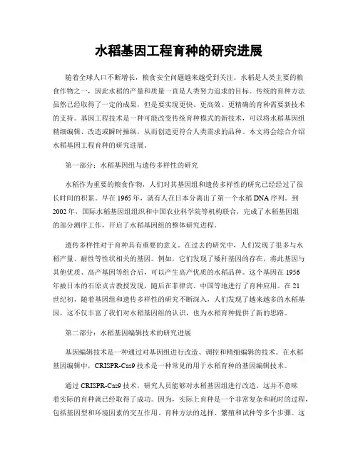 水稻基因工程育种的研究进展
