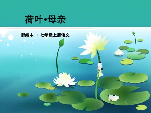 《荷叶·母亲》PPT课件