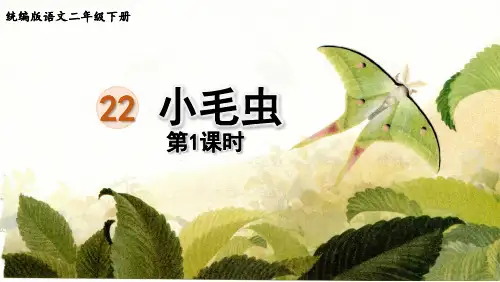 人教版部编版统编版二年级语文下册第22课《小毛虫》ppt课件