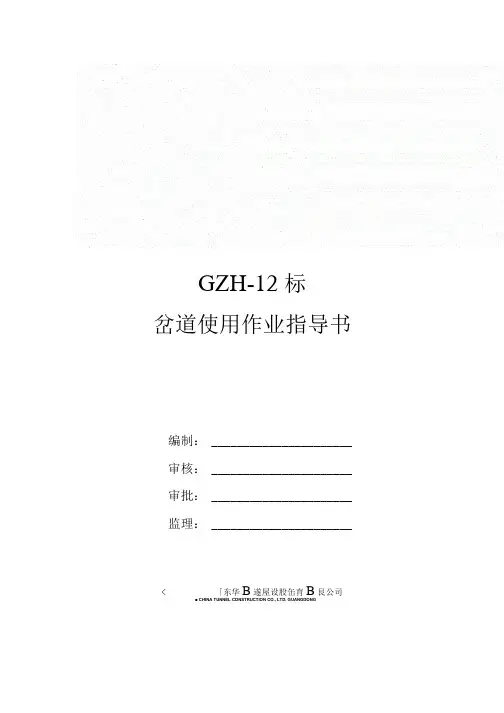 岔道使用作业指导书.doc