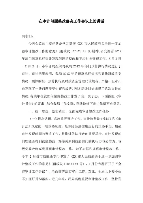 讲话稿：在审计问题整改落实工作会议上的讲话