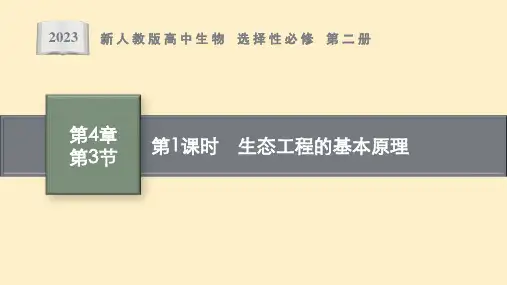 高中生物 必修2  第4章 第3节 第1课时 生态工程的基本原理