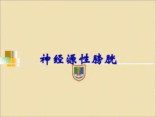 神经源性膀胱