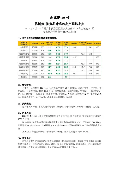 金诚麦19号 品种简介