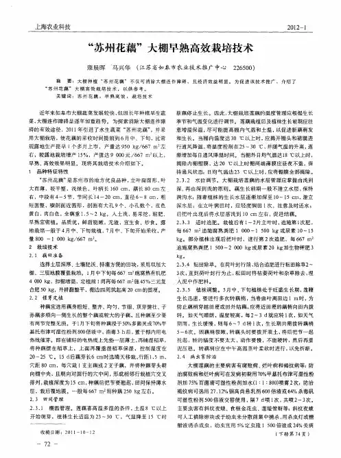 “苏州花藕”大棚早熟高效栽培技术