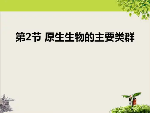 原生生物的主要类群_PPT课件