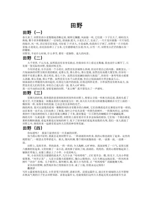 田野作文共九篇
