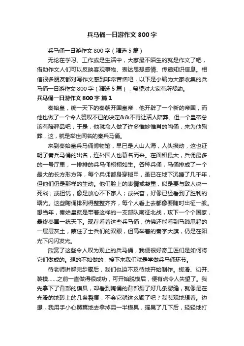 兵马俑一日游作文800字（精选5篇）