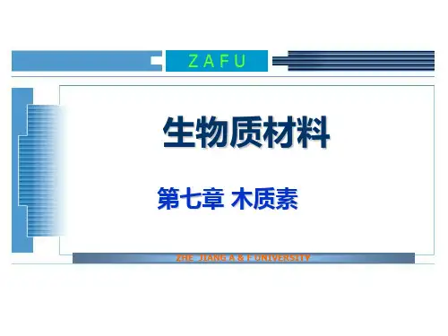 生物质材料木质素PPT课件