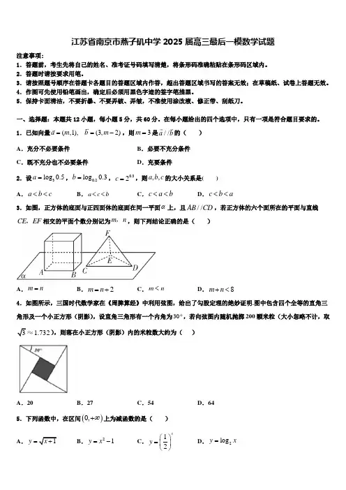 江苏省南京市燕子矶中学2025届高三最后一模数学试题含解析