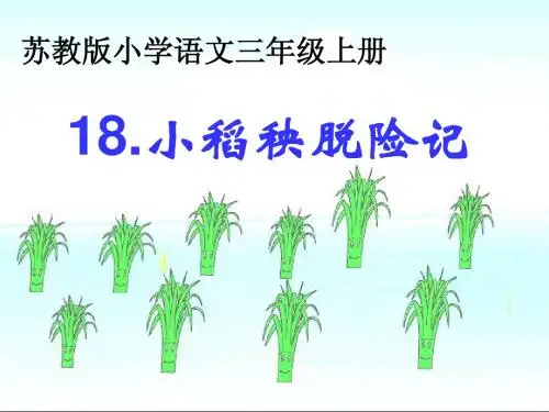 苏教版三年级语文小稻秧脱险记课件