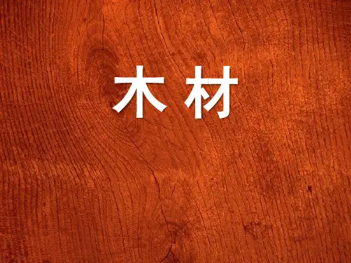 《木材》PPT-模板