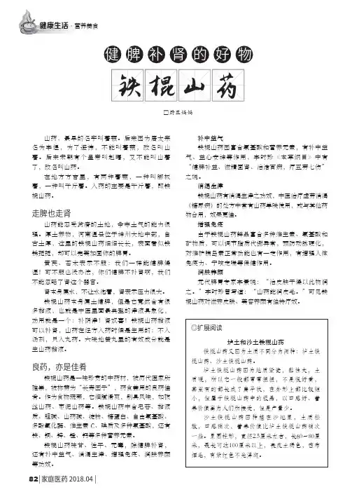 健脾补肾的好物铁棍山药