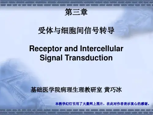 3.受体及其细胞信号转导(黄巧冰)
