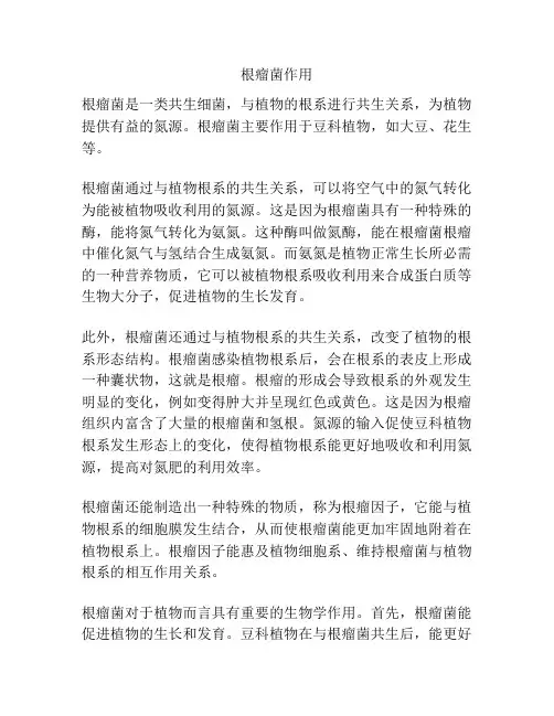 根瘤菌作用