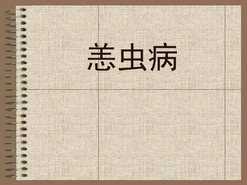 恙虫病 ppt课件