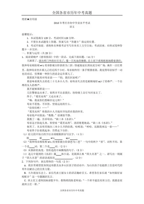 2018年山东省枣庄市初中学业水平考试语文试题(精心校对Word版)