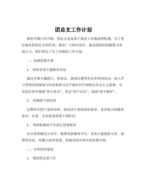 团总支工作计划