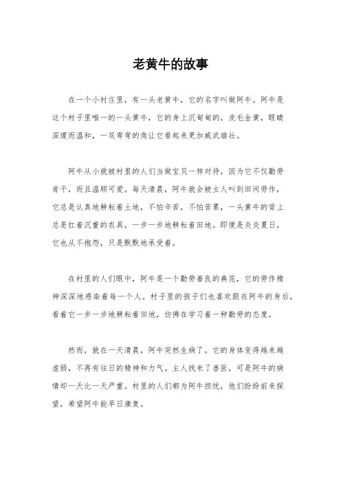 老黄牛的故事