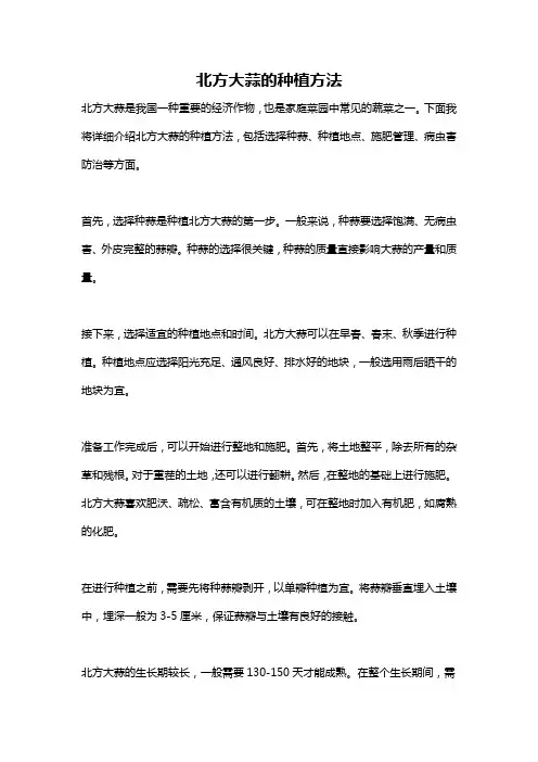 北方大蒜的种植方法
