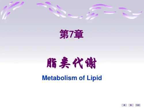 生物化学与分子生物学：第7章 脂类代谢