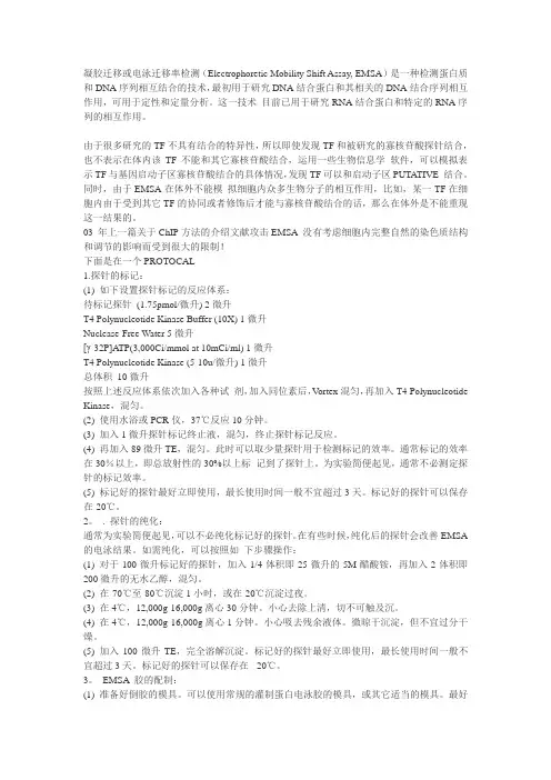 EMSA原理和方法