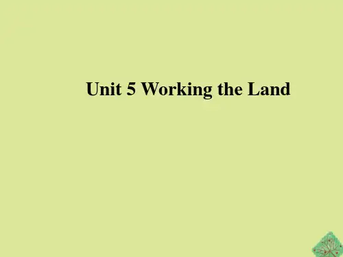 高中英语Unit5课件新人教版选择性必修第一册 231147