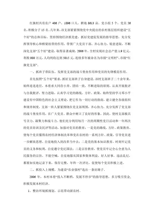 红旗村党支部材料