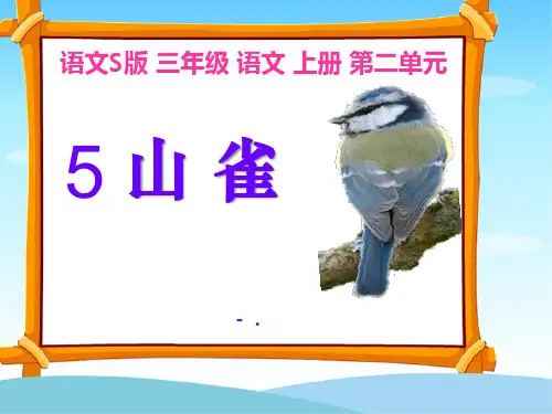 《山雀》PPT课件