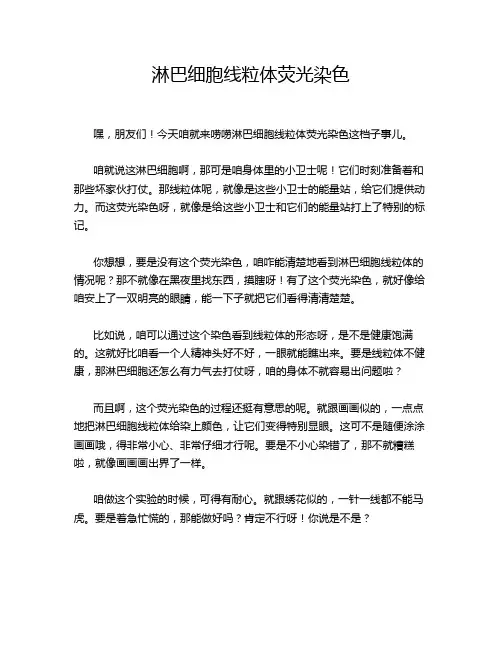淋巴细胞线粒体荧光染色