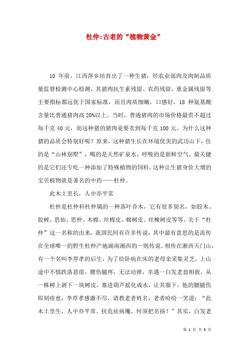 杜仲-古老的“植物黄金”
