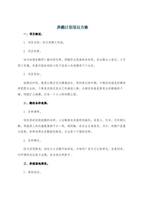 养鹅计划项目方案