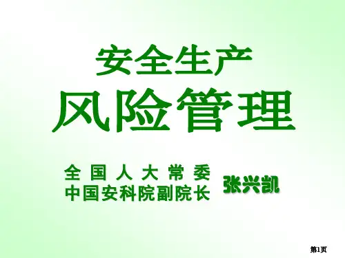 1安全生产风险管理_济宁_打印(张兴凯)