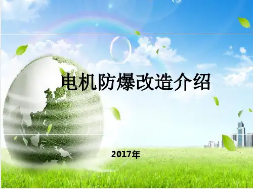 电机防爆改造介绍  ppt课件