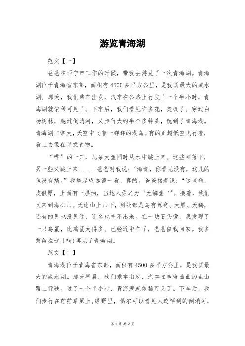 游览青海湖_三年级作文