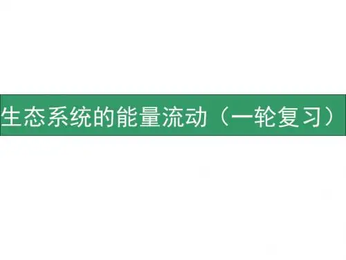 2.生态系统的能量流动(一轮复习)剖析.