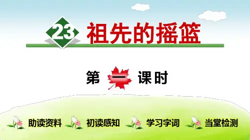 《祖先的摇篮》(完整版)PPT课件